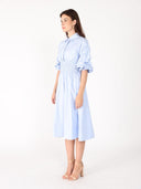 Ruched Puff Sleeve & Waist A Line Midi Dress DRESS Gracia Fashion 