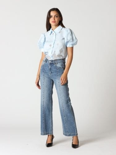 Sheer Graphic Puffed Sleeve Button-Down Blouse TOP Gracia Fashion L/BLUE S 